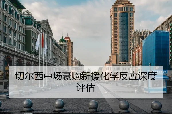 切尔西中场豪购新援化学反应深度评估
